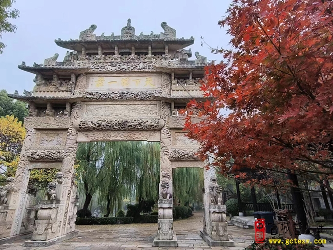 【同林摄影】台城红枫最佳时